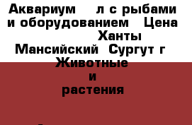Аквариум 450л с рыбами и оборудованием › Цена ­ 35 000 - Ханты-Мансийский, Сургут г. Животные и растения » Аквариумистика   
